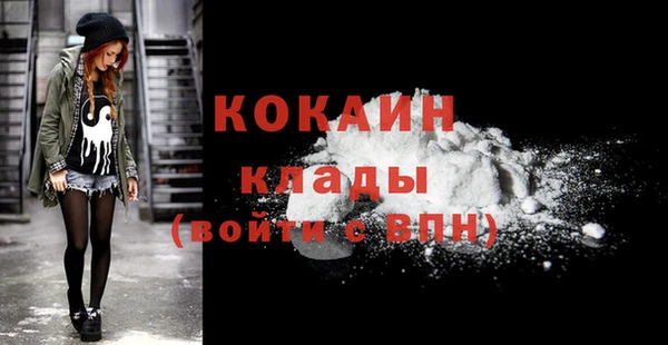 мдпв Вяземский