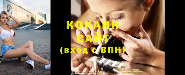 гашик Горняк
