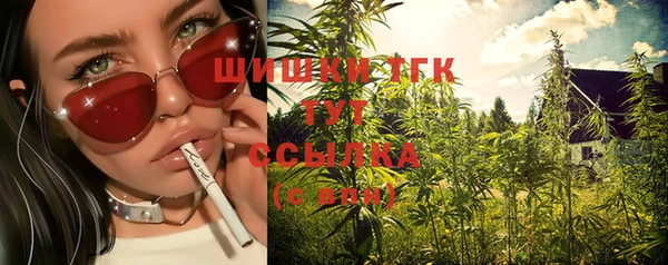 PSILOCYBIN Вязьма