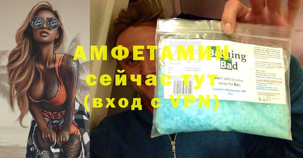 гашик Горняк