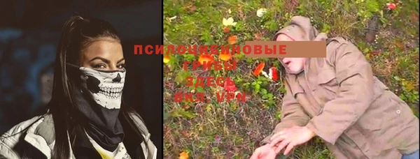 mix Сосновый Бор