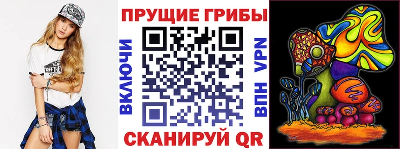 Купить где  Шагонар  Галлюциногенные грибы GOLDEN TEACHER 
