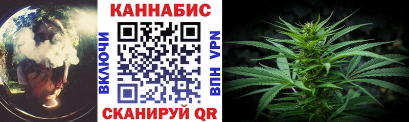 Купить  Шагонар  МАРИХУАНА планчик 
